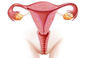 При внематочной беременности матка увеличивается или нет